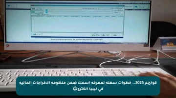 قوائم 2025.. خطوات سهلة لمعرفة اسمك ضمن منظومة الإفراجات المالية في ليبيا إلكترونيًا